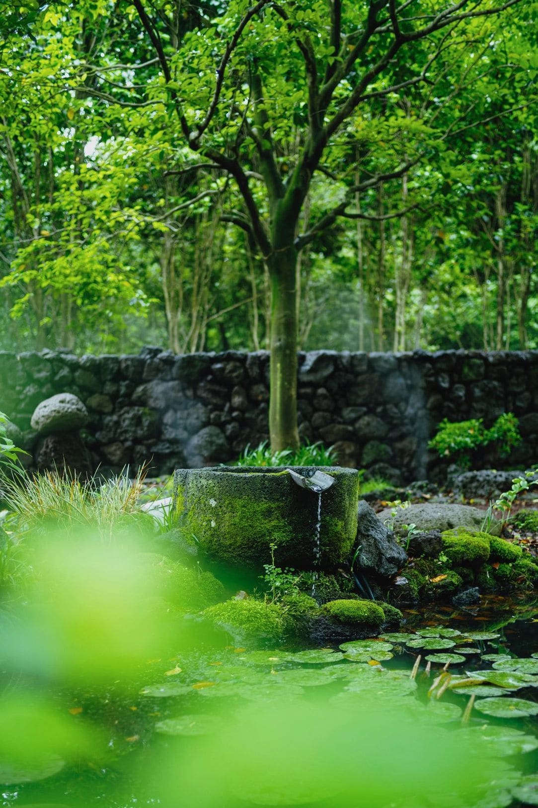 Garden consult and site walk-through